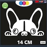 Adhesivo para coche – Bulldog Francés – Stickers Notebook – Perro, perros, pegatinas para perros, pegatinas para coche – Accesorios, Stickers, Decal cód. 1297 (blanco)