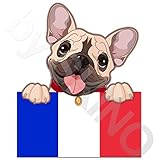 Biomar Labs® Pegatina Adhesivo Perro Cachorro French Bulldog Frances Bandera Francia Flag Vinilo para Coche B 235