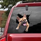 BYNYXI 4 piezas de pegatinas para el coche de perro, pegatinas 3D de labrador para el coche, pegatinas personalizadas divertidas Bulldog Francés Pegatina de coche Realista Grieta Perro Vinilo para