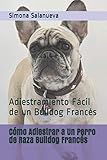 Cómo Adiestrar a Un Perro de Raza Bulldog Francés: Adiestramiento Fácil de un Bulldog Francés