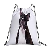 DELURA Mochila con cordón deportivo ajustable,adorable bulldog frances,Bolsa de gimnasio Bolsa de cuerda impermeable Bolsa de yoga deportiva