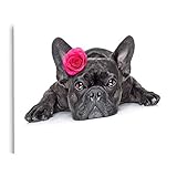 islandburner Cuadro en lienzo A los enamorados les encanta el perro enfermo El bulldog francés te mira fijamente La planta baja Rose Head cuadros decoracion Impresión salon