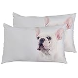 Juego De 2 Fundas De Cojín Adorable Bulldog Frances Cuadrado Cubierta De Almohada Decoración Modernas Funda De Almohada Cuadrada, para Oficina, Regalos, 40X60Cm