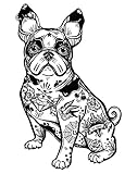 Oedim Pack 5 Pegatinas Coche Bulldog Francés Tatuado 13 x 20 cm | Adhesivo de Fácil Colocación | Pegatina para Coche Económica y Resistente