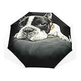 Paraguas lindo animal perro Bulldog francés a prueba de viento 3 veces paraguas para mujeres hombres niñas unisex ultraligero viaje al aire libre compacto paraguas