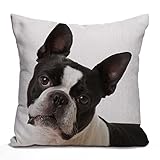 Tomda Funda de cojín decorativa de bulldog francés de 45 x 45 cm, funda de almohada cuadrada estándar para sofá, cama, coche, 18 x 18 pulgadas