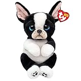 Ty Beanie Bellies – T43204 T43204 – Tink el Bulldog Francés con los Ojos Azules Brillantes, los Animales de Peluche con el Pancino Suave